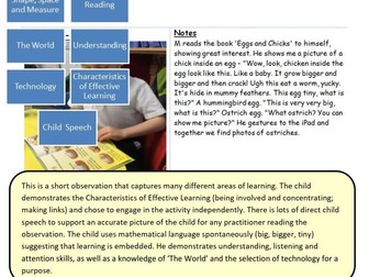 EYFS Observations: Examples of high quality observations in the Early Years