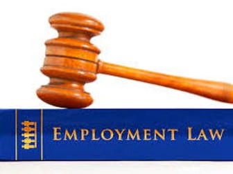 Employment law starter activity
