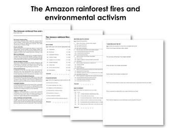 The Amazon rainforest fires and environmental activism