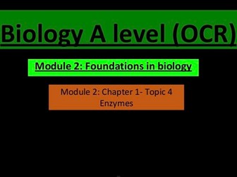 Enzymes lesson (A level biology)