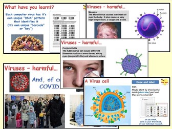Micro organisms - 4. Viruses & Vaccines (PowerPoint, Worksheets and Videos)
