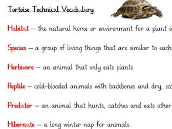 Esio Trot Non-Chron 2 Week Unit
