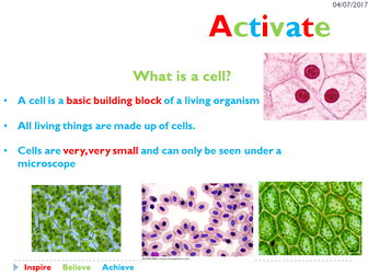 Activate 1 - Animal and Plant cells - Year 7
