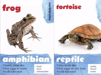 Animal Classification Posters - Vertebrates