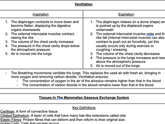 A* OCR Bio A Exchange Surfaces Notes