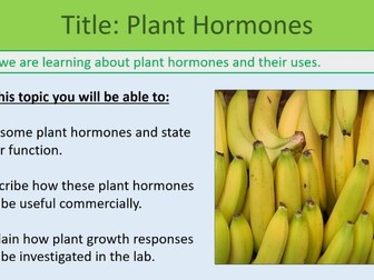 Plant Hormone Lesson GCSE Biology