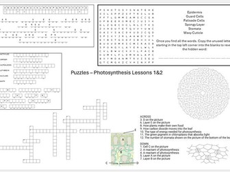 Edexcel CB6 SB6 Photosynthesis and Layers of the Leaf Puzzle Sheet