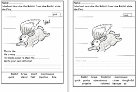 My favourite animal rabbit picture