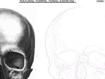 Worksheet Art Resource, Tonal Study, Natural Forms, Scull, Cover Lesson