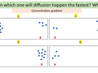 AQA GCSE Combined Science - Diffusion