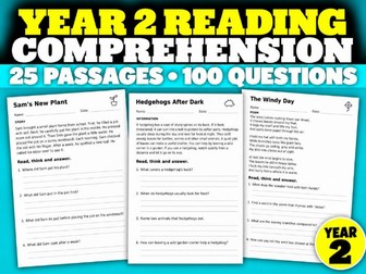 Year 2 Reading Comprehension: 25 Short Passages, Questions and Answers