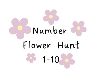 Number Flower Hunt