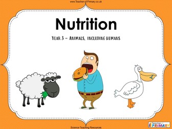 Nutrition - Year 3