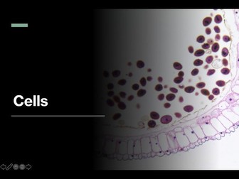 Introduction to Cells Powerpoint Presentation