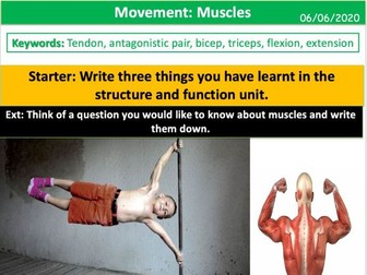 Movement: Muscles