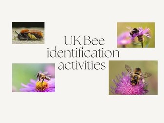 UK Bees