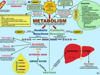 Activity for a Lesson on Metabolism (AQA 4.4.2.3)