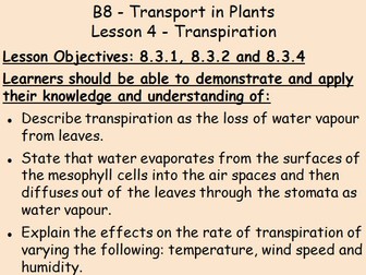 B8 Plant Transport IGCSE Biology L4