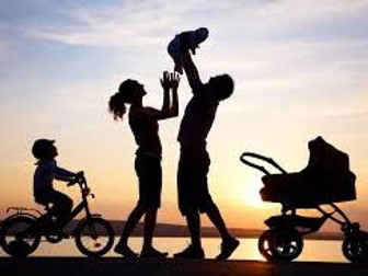 Paper 2 Topics - Families and Households: CONJUGAL ROLES AND POWER IN FAMILIES.