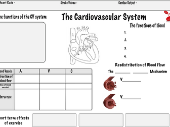 Cardiovascular System GCSE PE (Edexcel) Revision Sheet