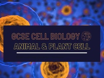 GCSE Biology: Animal & Plant Cell + Exam Qs