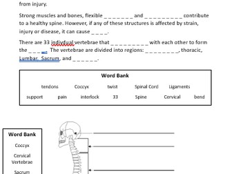 NCFE LEVEL 1/2 HEALTH & FITNESS UNIT 1.1 SKELETAL SYSTEM PUPIL WORKBOOK