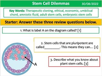 Stem Cell Dilemmas