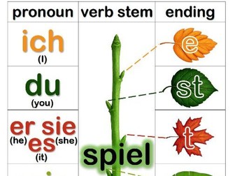 German Regular Verb Conjugation