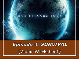 One Strange Rock: SURVIVAL (Video worksheet w. answer key) | Teaching