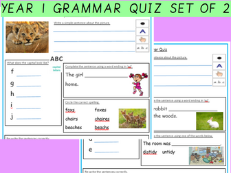 Year 1 Editable SPAG Grammar Quizzes, set of 2. Spring Summer Assessment or Activity sheet