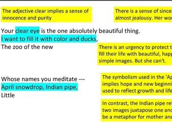 Sylvia Plath Prescribed Poetry Leaving Cert English