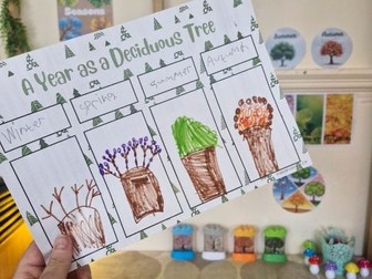 Deciduous tree seasons