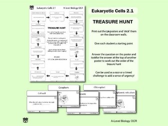 Eukaryotic Cells - A level Biology Treasure Hunt