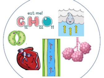 Chapter 2 Dobble AS biology OCR