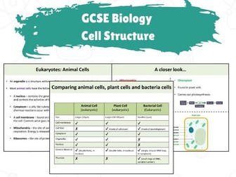 GCSE Biology - Cell Structure