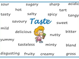 Senses Vocabulary Word Cards and Mats (Taste, Touch, Sound, Smell, Sight)