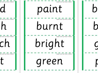 Rapid Catch Up Phase 4 Week 2 (Supports Little Wandle)
