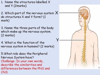 AQA B5 - Homeostasis and Response - 15 Lessons