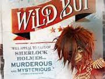 UKS2 (Y5 / Y6) Writing unit - narrative -  based on novel: Wild Boy (T4W)