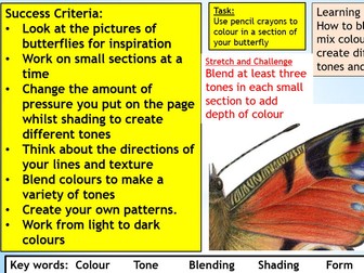 Insects scheme for Art and Design