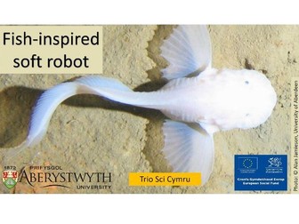 Fish inspired soft robot