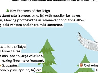 Taiga geography revision poster