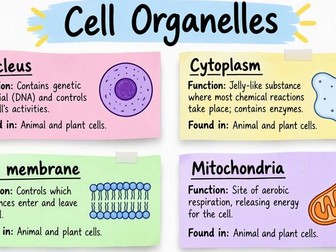 Cell Organelle Revision Sticky Notes | GCSE Biology Cell Structure